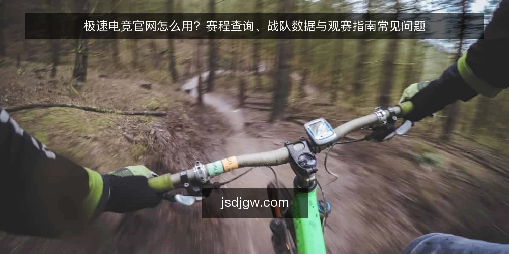 极速电竞官网怎么用?赛程查询、战队数据与观赛指南常见问题 — 极速电竞官网主要提供哪些功能? 配图