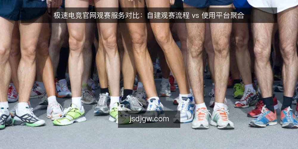 极速电竞官网观赛服务对比:自建观赛流程 vs 使用平台聚合 — 为何现在需要审计观赛路径 配图